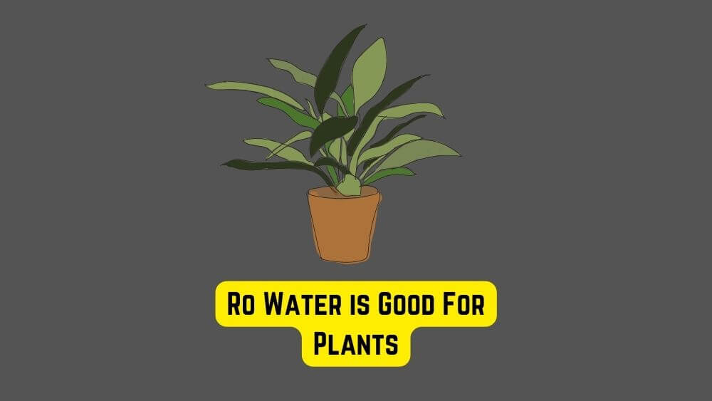 Is Ro Water Good For Plants