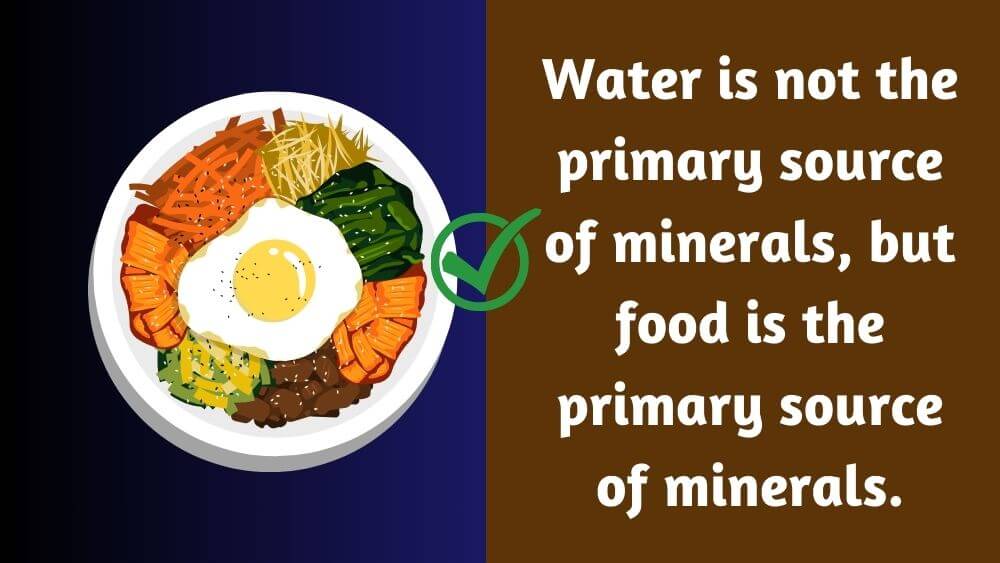 food is the primary source of minerals