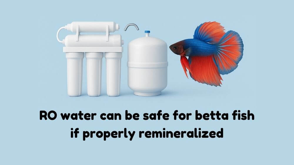 RO water can be safe for betta fish RO water can be safe for betta fish