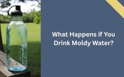 What Happens if You Drink Moldy Water? Know Before Drink