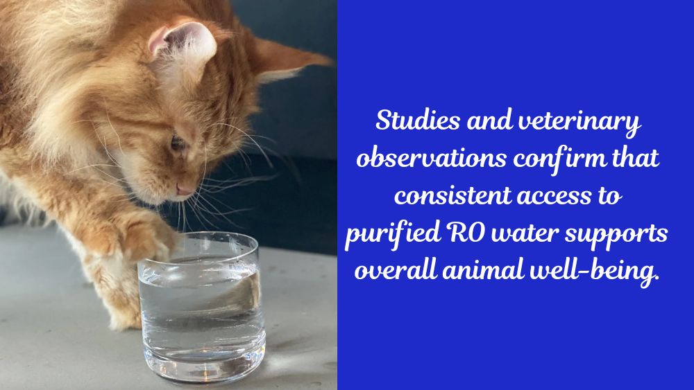 Ro Water for Animal