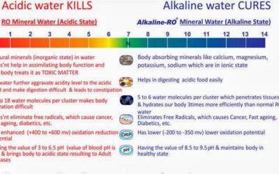 Can RO Water Cause Low Potassium: Uncover the Truth