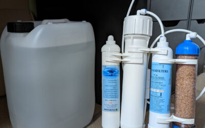 Is Ro Water Good for Shrimp: Benefits Unveiled