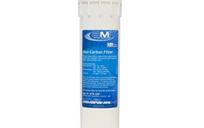 Carbon Polishing Filter: Enhance Your NTR-RO-50 System’s Performance Today