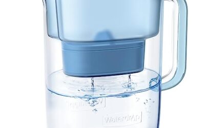 Best Alkaline Filter for RO: Enhance Taste with Mineralized Water