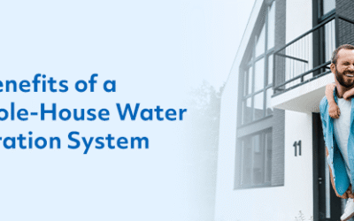 Whole House Water Filter Benefits: Purify Your Home’s Water
