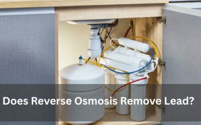 Does Reverse Osmosis Remove Lead?