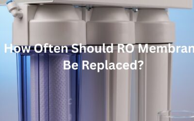 How Often Should RO Membrane Be Replaced?