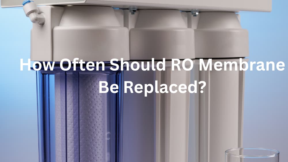How Often Should RO Membrane Be Replaced