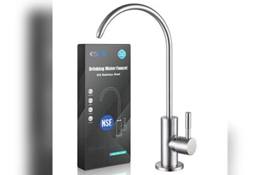 ESOW Kitchen Water Filter Faucet: Lead-Free, Stainless Steel, Fits Most RO Units