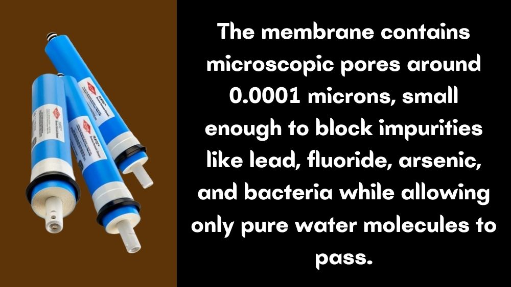 membrane contains microscopic pores around 0.0001 microns