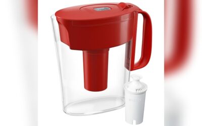 Brita Water Filter Pitcher Review: Clean, Safe, 6-Cup Red Model