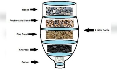 Do It Yourself Water Filter System: Ultimate Guide for Clean Water