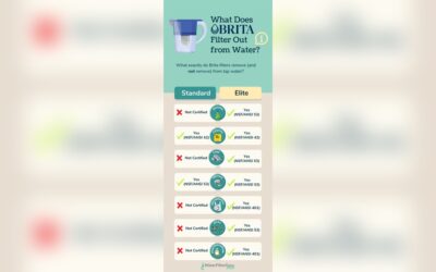 Does Brita Filter Hard Water: Effective Solutions Explained