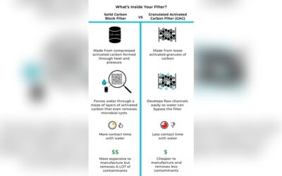 Does Brita Water Filter Remove Fluoride? Truth Revealed!