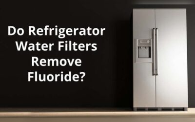 Does Refrigerator Water Filter Remove Fluoride: Truth Revealed