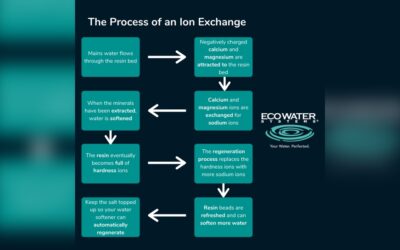 How Does Ion Exchange Work in Water Softening: Ultimate Guide