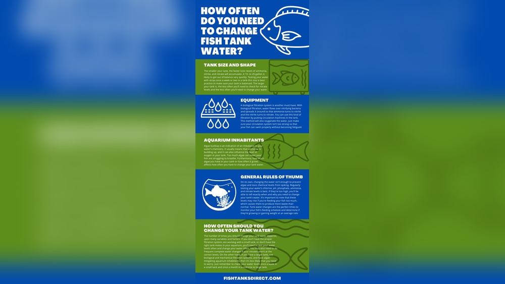 How Often to Change Water in Fish Tank With Filter