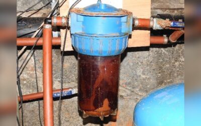 How Often to Change Whole House Water Filter: Ultimate Guide 2025