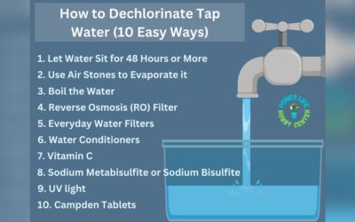 How to Filter Chlorine from Tap Water: Easy & Effective Methods