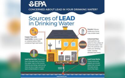 How to Filter Lead Out of Water: Effective & Easy Methods