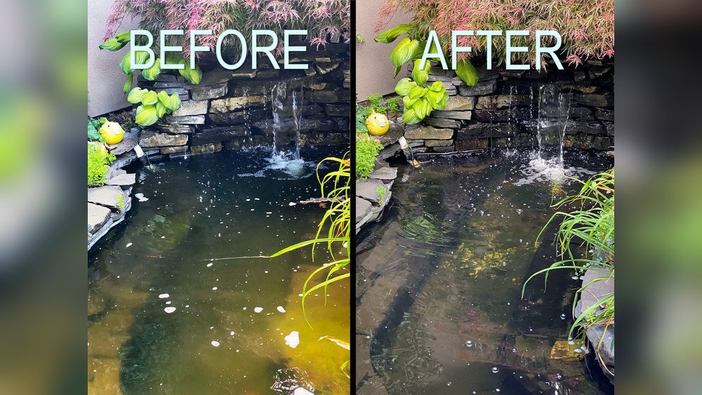 How to Filter Pond Water