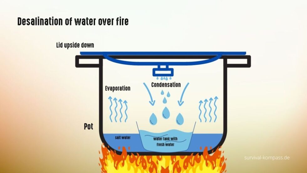 How To Filter Salt Water: Easy Methods For Clean Drinking Water - RO System