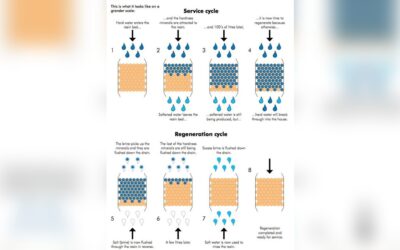 How to Regenerate Ion Exchange Resin: Ultimate Step-by-Step Guide