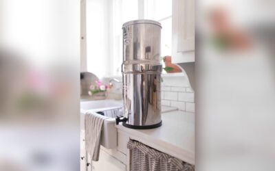 Is Berkey the Best Water Filter: Ultimate Purity Tested