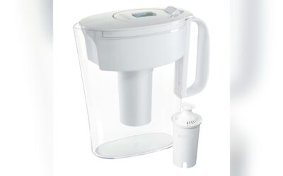 Is Brita a Good Water Filter: Truths You Need to Know Today