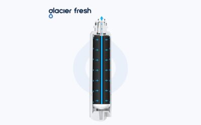 What Does a Refrigerator Water Filter Do: Essential Benefits Explained