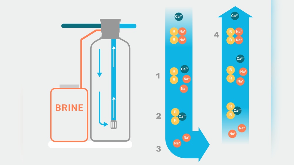 What Does Ion Exchange Remove