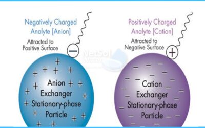 What is an Ion Exchanger: Ultimate Guide to Its Powerful Uses
