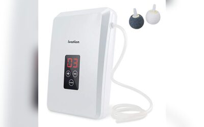 Ivation Portable Ozone Generator 600mg/h Review & Benefits