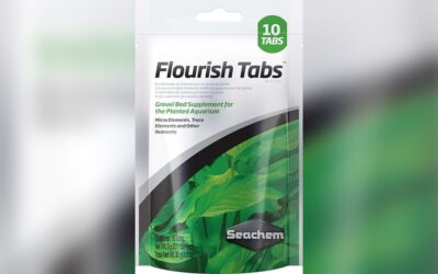 Seachem Flourish Tabs Growth Supplement Review – Top Aquatic Plant Stimulant