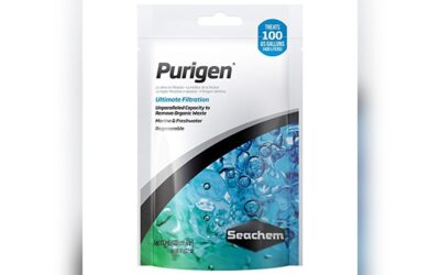 Seachem Purigen, 100 ml Review: Clearer Water Made Easy