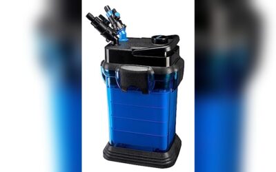 Penn-Plax Cascade 1200 Canister Filter Review: Reliable 315 GPH Aquarium Filter