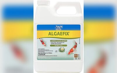 API POND ALGAEFIX Review: Effective Algae Control 32-Oz Bottle