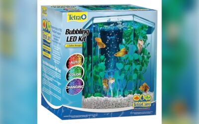 Tetra Bubbling LED Aquarium Kit 1 Gallon Review & Buying Guide