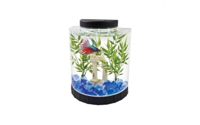 Tetra 1 Gallon Half Moon Fish Tank Review: Best for Betta & Goldfish
