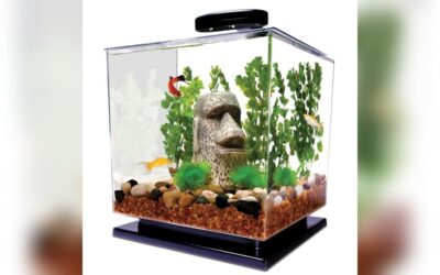 Tetra 3 Gallon Fish Tank Review: Best Starter Kit for Small Fish