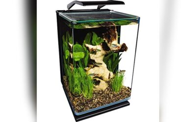 Marineland Portrait Glass LED Aquarium Kit 5 Gallons Review