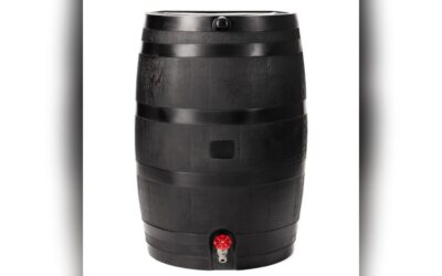 RTS Home Accents 50-Gallon ECO Rain Barrel Review: Durable & Eco-Friendly