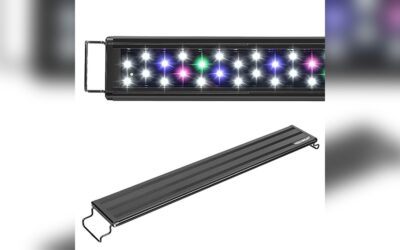 AQUANEAT LED Aquarium Light 12 Inch Review: Best Freshwater Choice