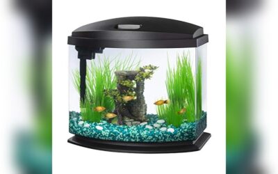 Aqueon LED MiniBow 5 Gallon Fish Tank Kit Review & Guide