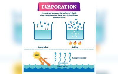 How Water Evaporates