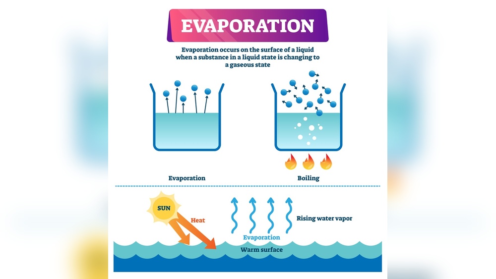 How Water Evaporates