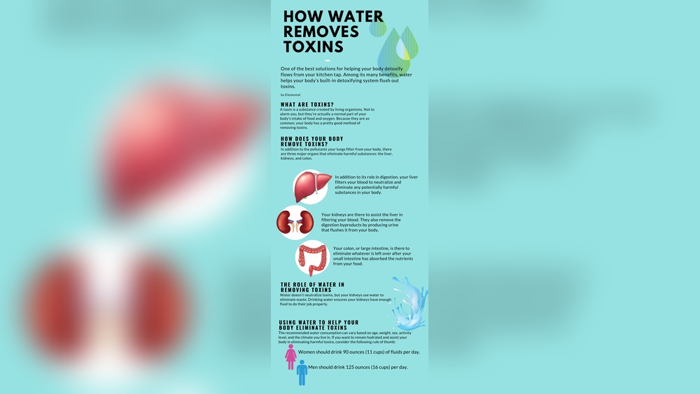 How Water Flushes Toxins