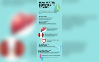 How Water Helps Detox Your Body