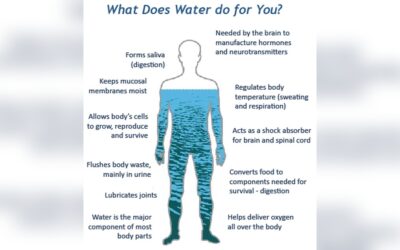 How Water Helps the Body